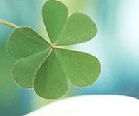 shining clover