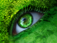 Green Eye