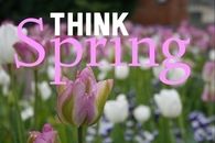 Think Spring