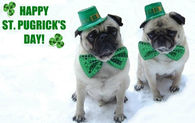 Happy St Patricks Day