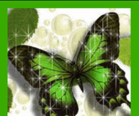 Lucky Butterfly