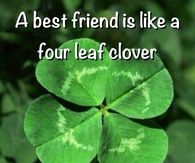 a best friend is like a four leaf clover