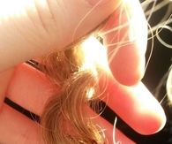 Blonde curls