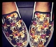 Dog vans