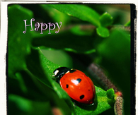 Happy Spring