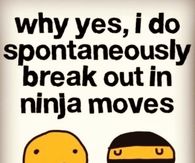 Why yes I do spontaneously break out in ninja moves