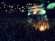 Fireflies At Night