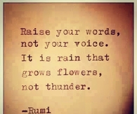 Raise your words, not yoru voice