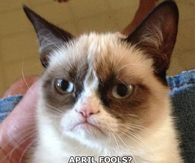 Grumpy cat April fools