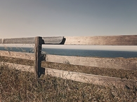 Wooden fence
