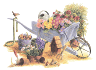 Spring Gardening