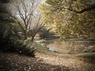 Central park bridge