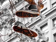 Urban spring