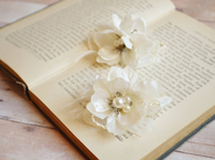 Bridal shoe clips