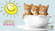 Good Morning