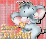 Happy Wednesday