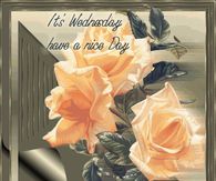 Its wednesday, have a nice day