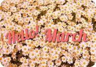 Hello March