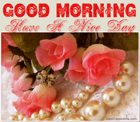 Good morning, have a nice day