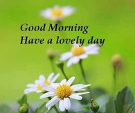 Good morning, have a lovely day