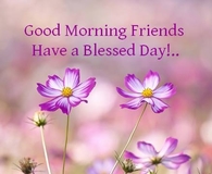 Good morning friends, have a blessed day