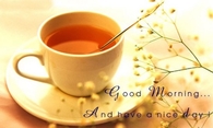 Good morning and have a nice day