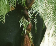 Nature braid
