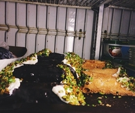 Cannoli
