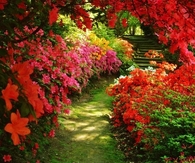 Beautiful Garden Path