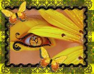 Eye of Spring
