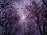 Purple hazy sky