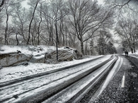 Central park snow