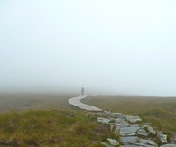 The broken path