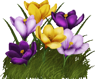 Happy Spring Flowers