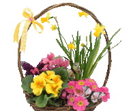 Spring Basket of Flowers