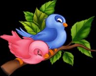 Cute Birds
