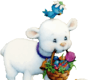 Baby Animals in the Spring