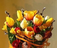 Spring Tulips