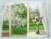 Beautiful Spring Day