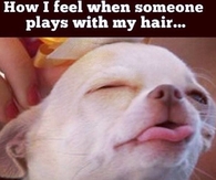 How i feel when someone plays with my hair