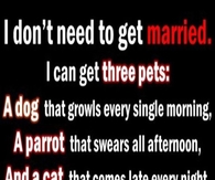 I dont need to get married, I can get three pets