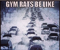 Gym rats be like, is the gym open today