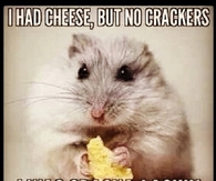 I was crackalacking