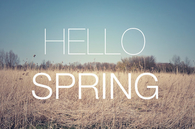Hello Spring