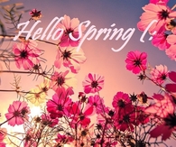 Hello Spring