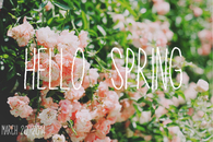 Hello Spring