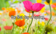 The first day of spring
