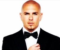 Pitbull