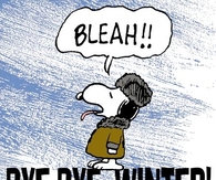 Bye Bye Winter