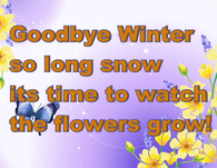 Goodbye Winter so long snow